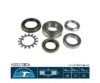 BTA H20310BTA Wheel Bearing Kit